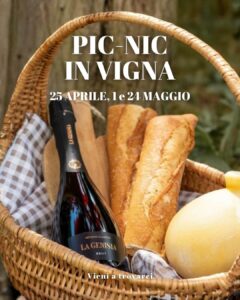 Pic Nic in vigna 25 aprile e primo maggio 2026