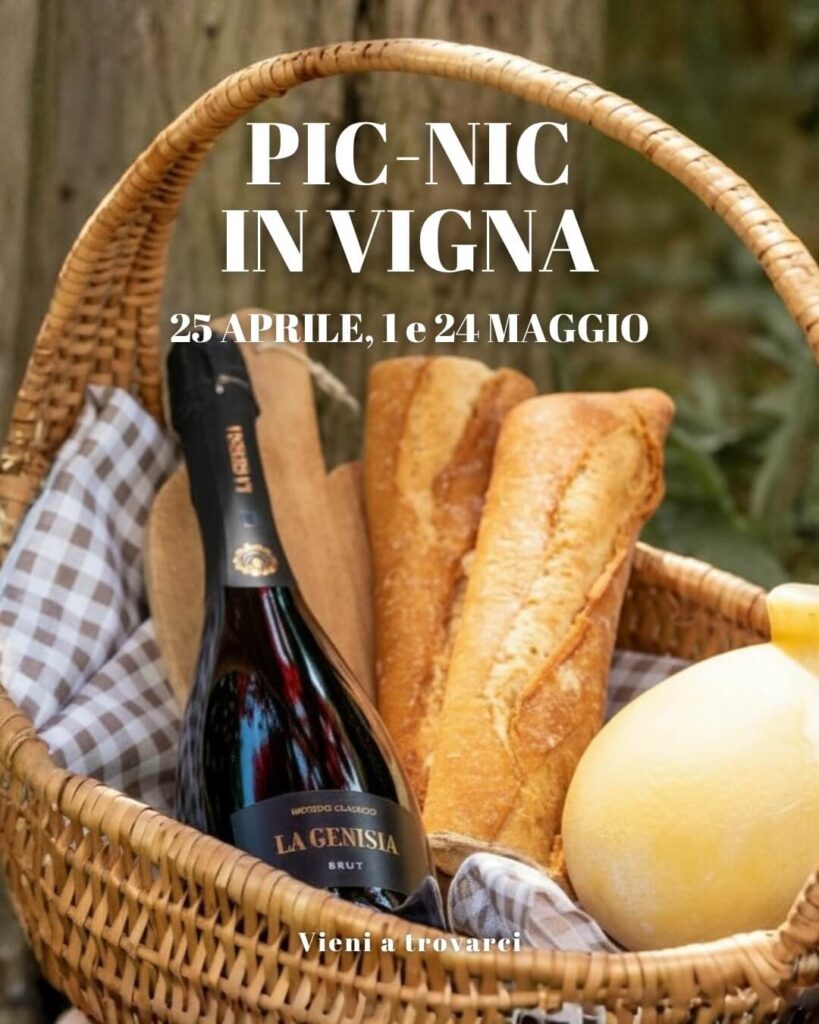 Pic Nic in vigna 25 aprile e primo maggio 2026