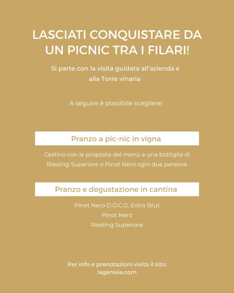 Pic Nic In vigna